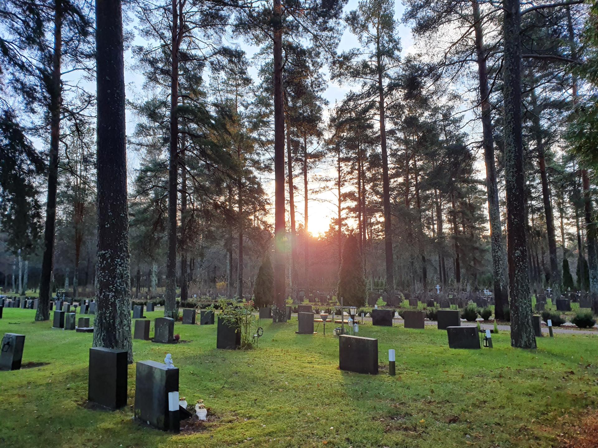 Muistomerkkejä Honkanummella