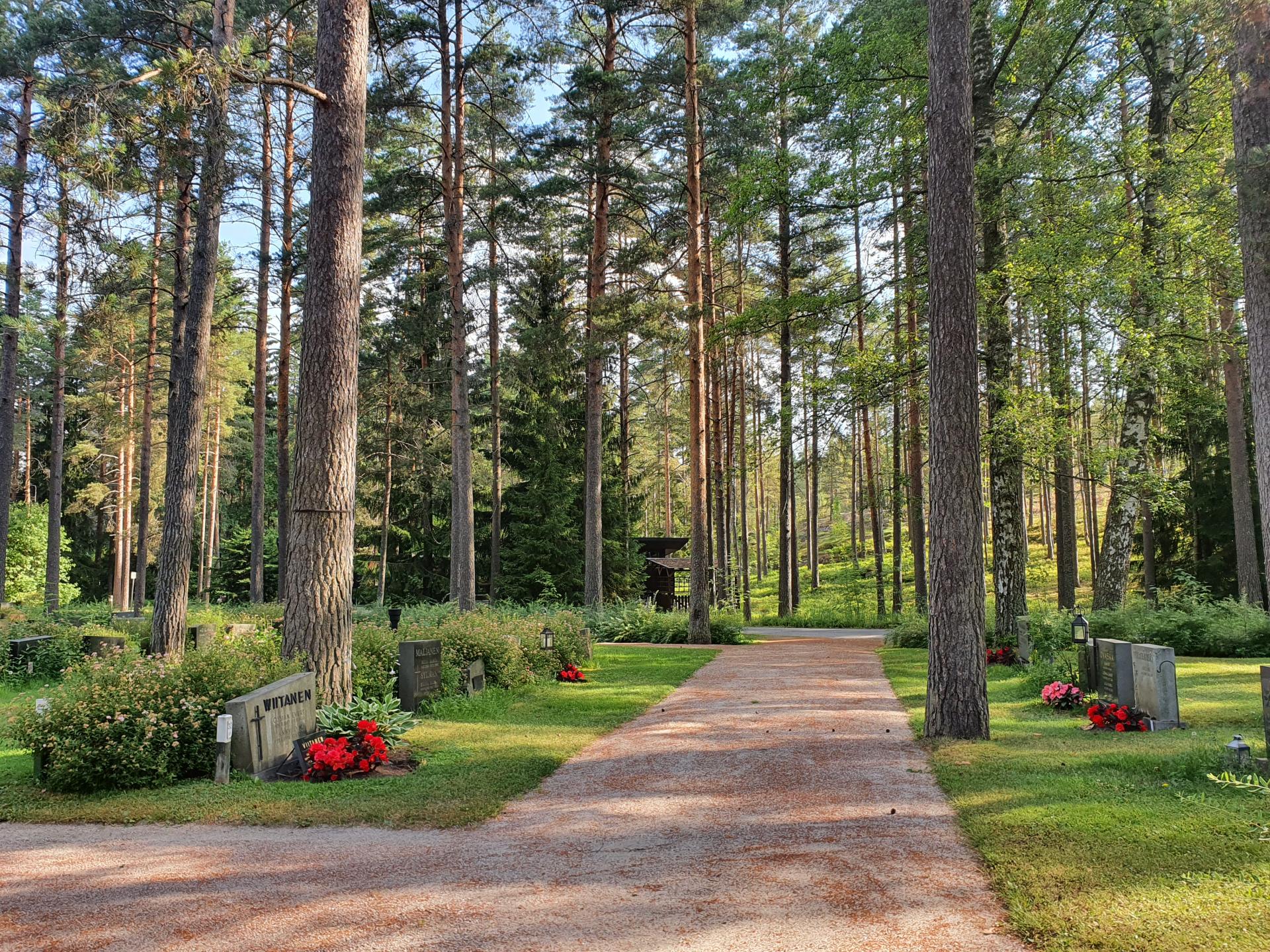 Kortteli Honkanummella