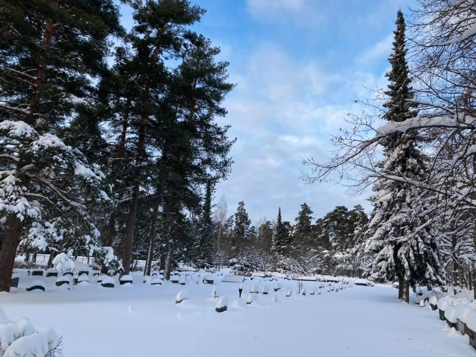 Honkanummen kortteli talvella