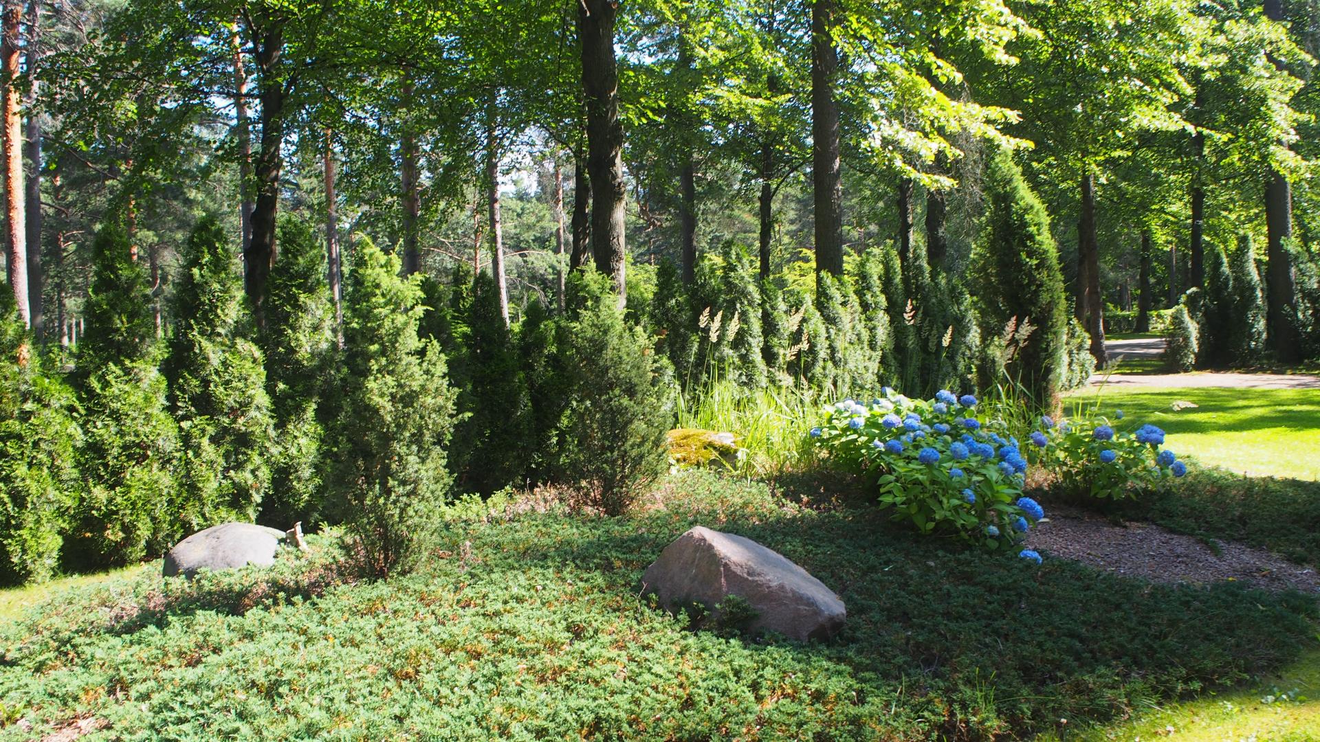 Honkanummen hautausmaa